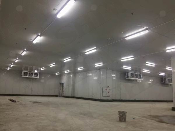 ���rˮ���߲�������